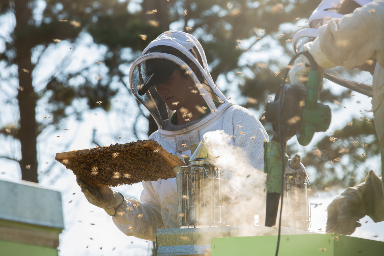 
                  
                    Ein neuseeländischer Imker in Schutzkleidung der eine Bienenwabe hält
                  
                